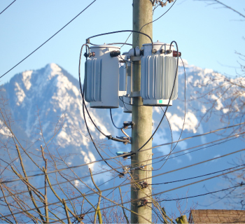 Utility pole with distribution transformers